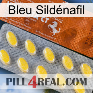 Bleu Sildénafil 42
